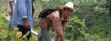 Men working on a water pipeline in Honduras - Flickr/Water Sanitation and Hygiene Photos