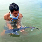 A man holding young whale shark