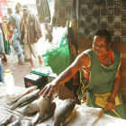 Woman selling fish in market, Zambia Woman selling fish in market, Zambia