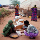 Women in Ethiopia at solar powered stoves Women in Ethiopia at solar powered stoves