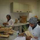 Women researchers in a lab