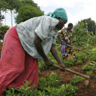 Women labourers in Africa - Flickr/Gates Foundation