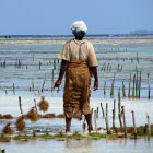 A woman in Zanzibar