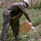 Zambian farmer