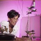 Ben Lakhdar won the 2005 L'Oréal-UNESCO Women in Science Awards