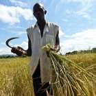 African farmer
