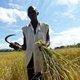 African farmer