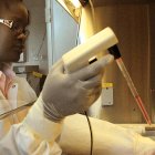 An African researcher