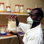 African scientist