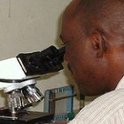 Researcher looking into microscope