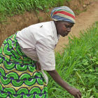 African woman farmer