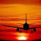 Air freighting vegetables from Africa is a small contributor to Britain's carbon emissions