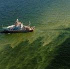 An algal bloom