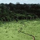 Deforestation of the Amazon: researchers and policymakers need to talk about priorities