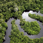 Bosque amazónico en Itaúba, Mato Grosso