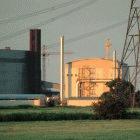 Biomass, a source of renewable energy