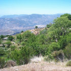 Arid farmland