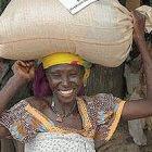 The Millennium Villages Project is giving fertiliser, seeds and advice to selected villages in Africa