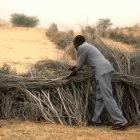 Building barriers to stop dunes advancing in Niger