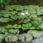 Biodiversidad en Colombia