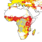 Prevailing patterns of threat to human water security and biodiversity