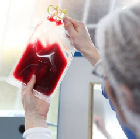 Blood