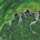 Satellite image of forest in Brazil