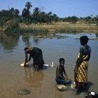 Research to improve water quality is high on Africa's development agenda