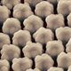 Carbone nanotubes Carbone nanotubes