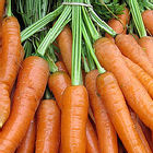 Gm Carrots
