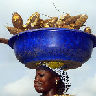 Woman carrying cassava