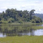 cattiennationalparkVietnam_sianLewis