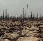 The media in Africa can help people prepare for droughts
