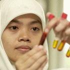 Indonesian researcher testing poultry samples for the bird flu virus