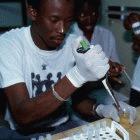 Checking fluoride levels in urine, Senegal