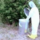 Egypt and India are racing to contain their H5N1 outbreaks