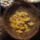 Chicks for sale in a Vietnamese market – a practice stopped during the 2004 bird flu outbreak
