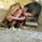 Nutrition subtopic image Nutrition subtopic image