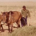 Western China is an arid area
