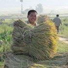 Chinese farmer, with a bale of hay