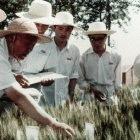 Agricultural science is among the sectors to benefit