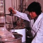 China must focus on innovation for economic success