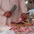 India and Pakistan reported outbreaks of bird flu in poultry this year