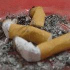 Tobacco consumption contributes to chronic disease