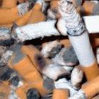 Raising taxes on tobacco could save millions of lives, say the books