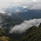Bosque de nubes