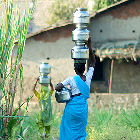 Women carrying water pots in India