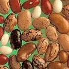 The seed banks will hold samples of all of the world's crop varieties 