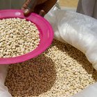 Rwandan research will boost agricultural productivity