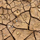 cracked earth